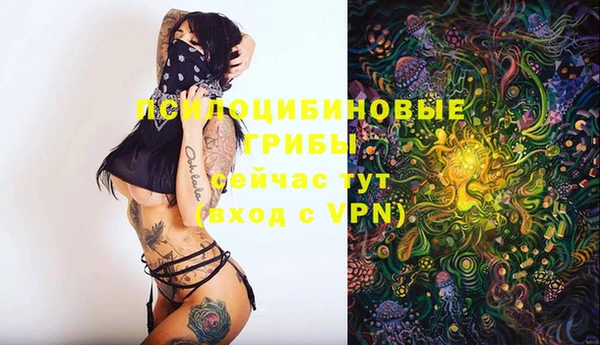 бошки Волоколамск