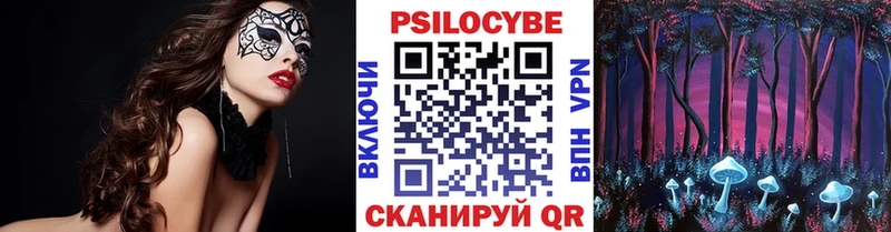 ссылка на мегу ТОР что такое Каменногорск Галлюциногенные грибы Cubensis